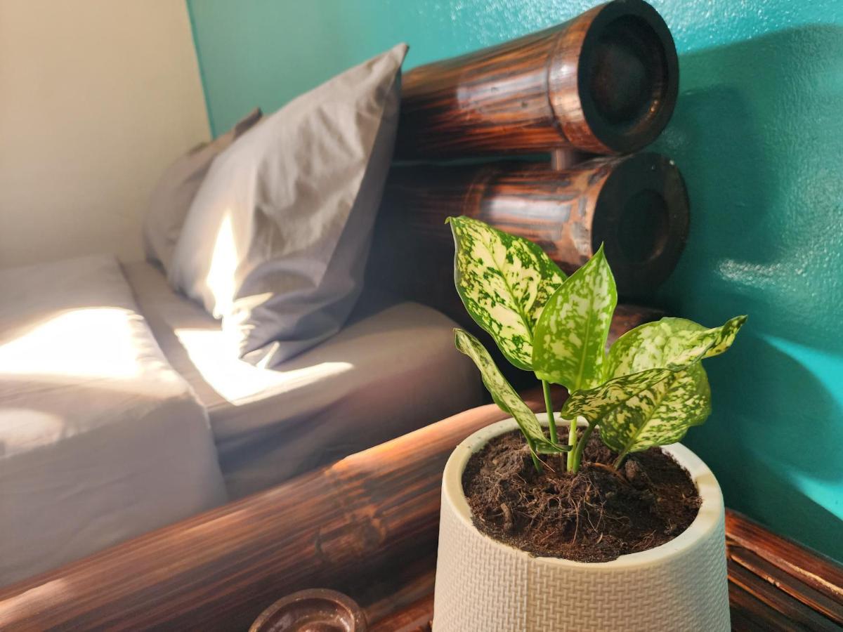 Blue Moon House - A Budget Hostel For Easy Travellers Chiang Mai Extérieur photo
